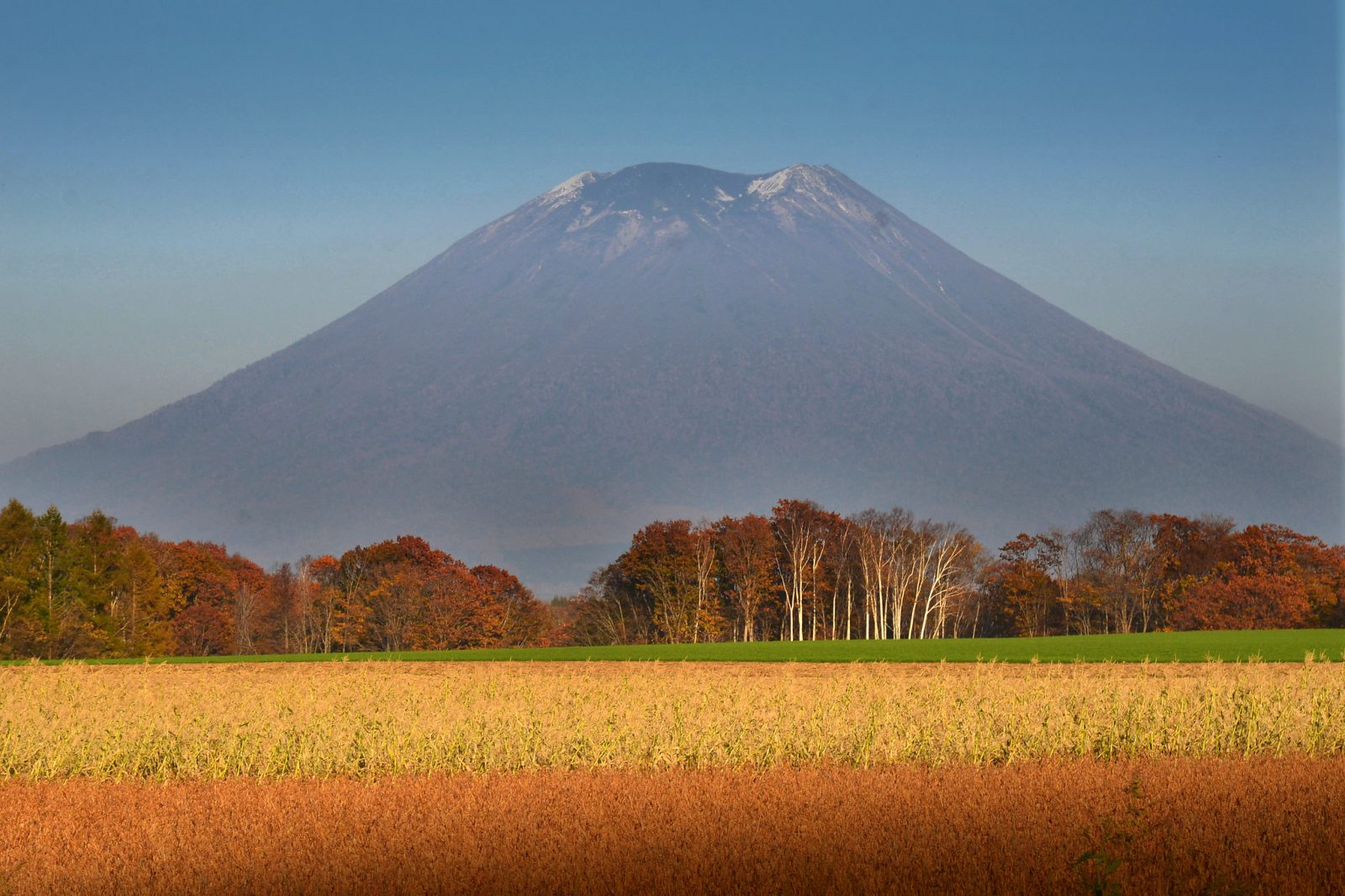 ニセコの秋の楽しみ方：紅葉や秋の味覚が盛りだくさんの画像